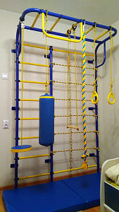 Детский спортивный комплекс "Пионер-С104" макси (синий-желтый)