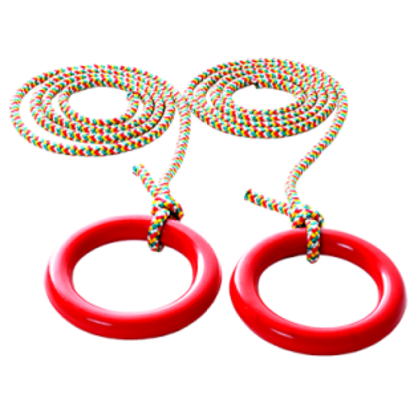 Шведская стенка с рукоходом Turnik home R-2